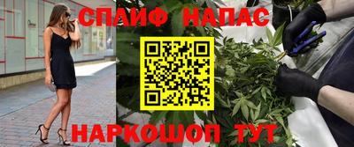 прущие грибы Обь