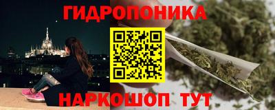 прущие грибы Обь