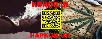 прущие грибы Обь