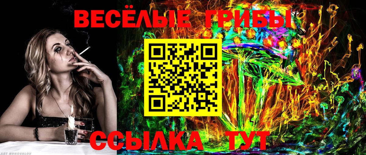 Псилоцибиновые грибы мицелий Пушкино