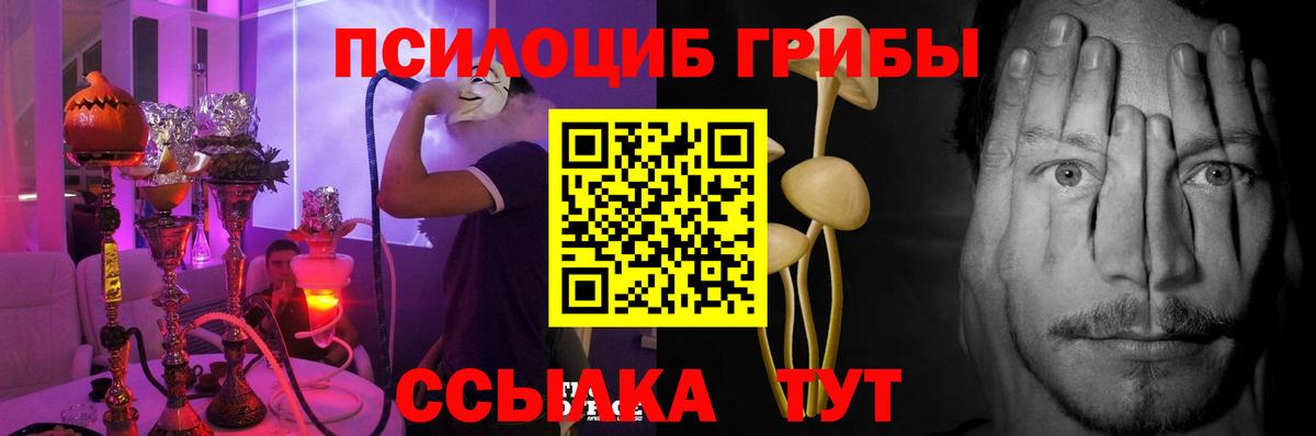 сколько стоит  Галлюциногенные грибы Magic Shrooms  Пушкино  Вход с VPN  Псилоцибиновые грибы прущие грибы 